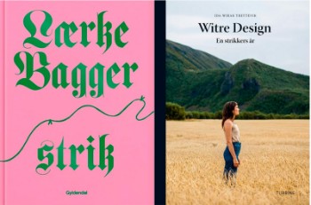 strik af Lærke Bagger og Witre design - En strikkers år af Ida Wirak Trettevik (2)