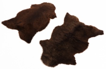 Two Swedish lambskins, black brown (2)
